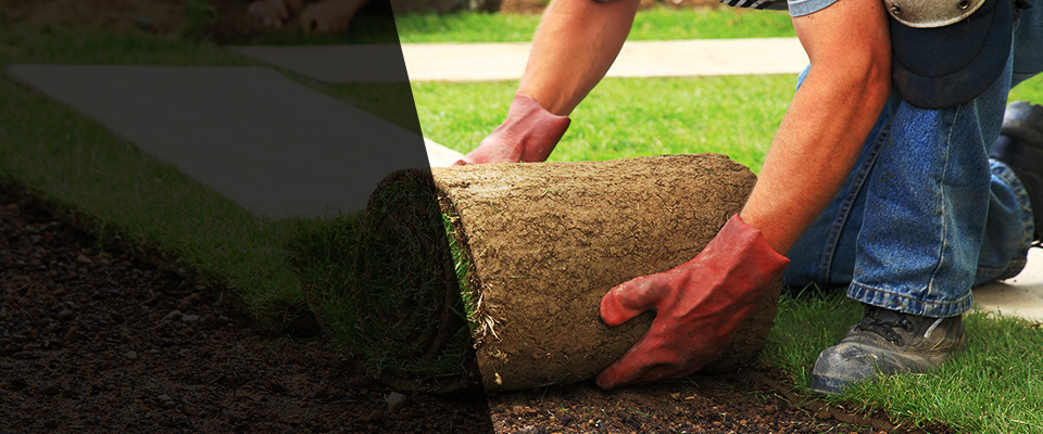 Ridgeway Landscapers